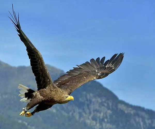 Alpenappartement Sonne Umhausen